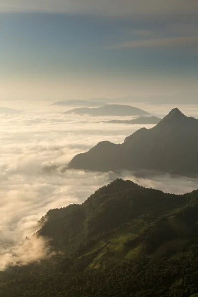 Phu Chi Fa landskap i Thailand — Stockfoto