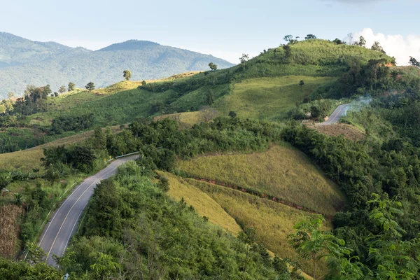 Phu Chi Fa landscape in Thailand — Stock Photo, Image