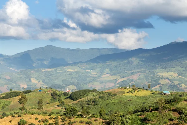 Phu Chi Fa landskap i Thailand — Stockfoto