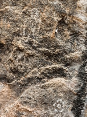 OB Luang Milli Parkı Tayland