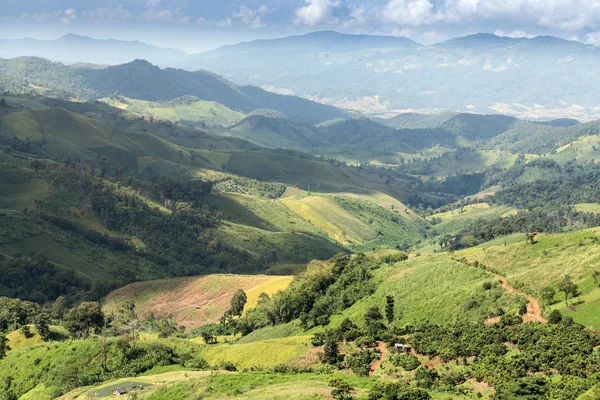 Phu Chi Fa landskap i Thailand — Stockfoto