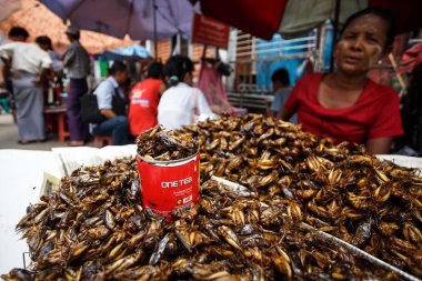yangon şehirde sokak yaşam