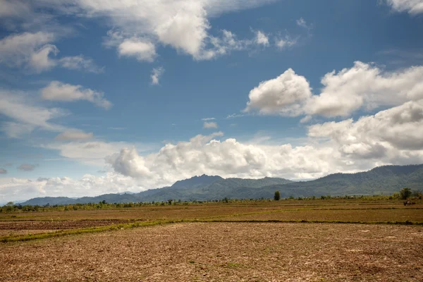 Plaines herbeuses au Myanmar — Photo