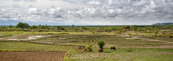 Grassy Plains in Myanmar — Stock Photo, Image