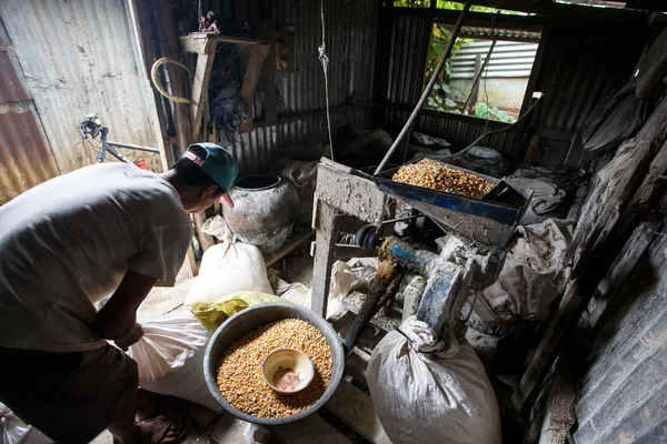 Fabrication d'aliments pour porcs à l'aide d'une rectifieuse — Photo