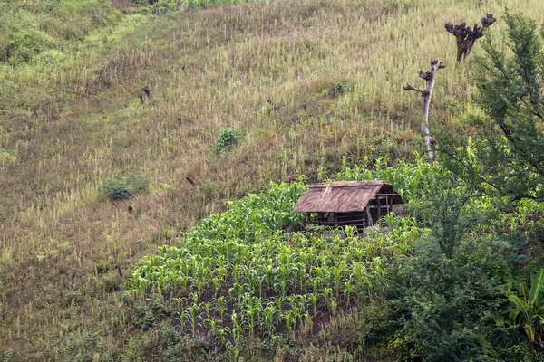 Vesnice osada poblíž falam v Myanmaru — Stock fotografie