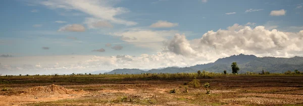 Grässlätter i Myanmar — Stockfoto