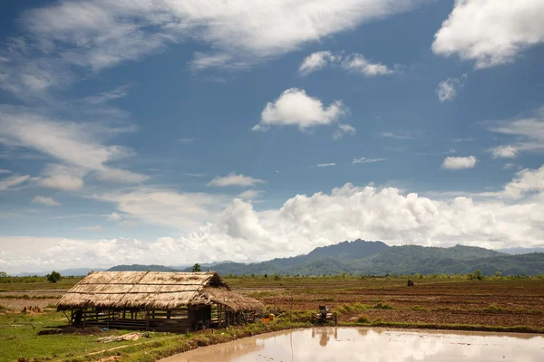 Plaines herbeuses au Myanmar — Photo