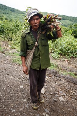 Adam ahşap Myanmar yük taşır
