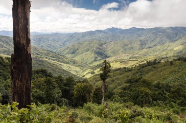 Myanmar doğal peyzaj