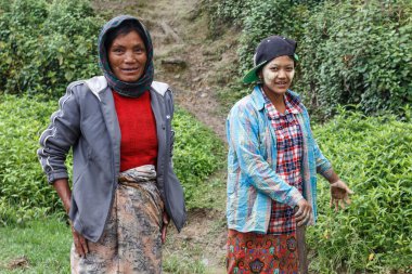 Yerel kadın Myanmar