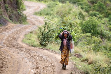 Bayan Myanmar ağır yük taşır