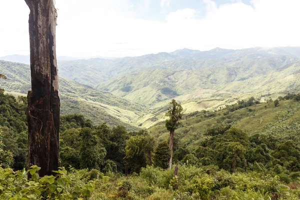 Natursköna landskapet i Myanmar — Stockfoto