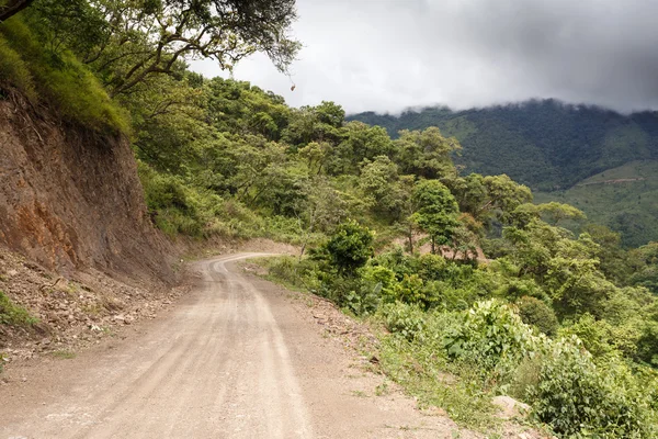 在缅甸的泥泞道路 — 图库照片