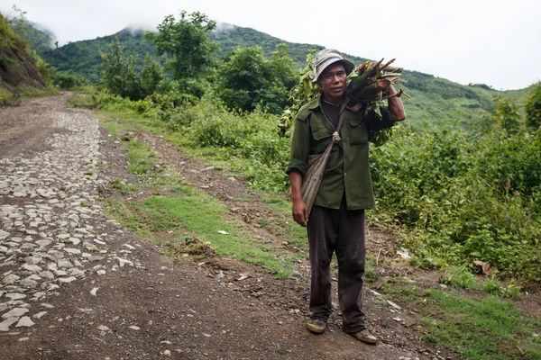 Mann trägt Holzladung in Myanmar — Stockfoto