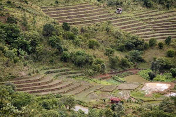 Paisaje natural con agricultura en Myanmar —  Fotos de Stock