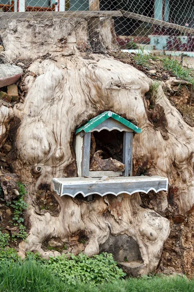 Santuário dentro de uma árvore na cidade de Falam — Fotografia de Stock