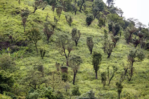 Landskap i Myanmar — Stockfoto