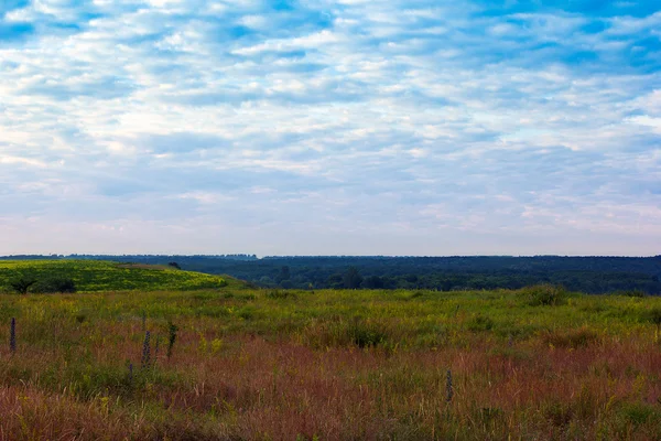 Grassy valley, trees and a cloudy blue sky — Stock Photo, Image