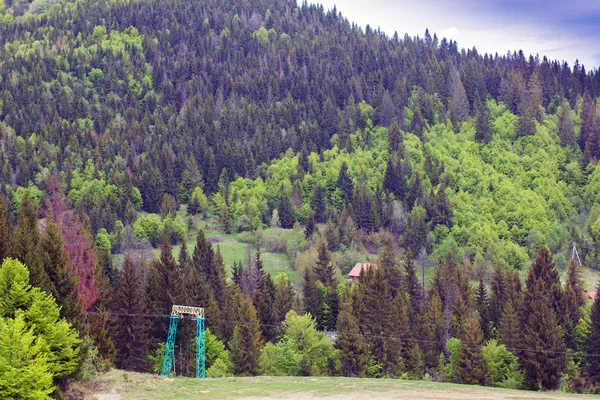 Dağlar çam ağacı ile peyzaj — Stok fotoğraf