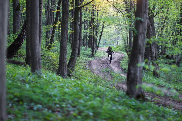 bahar ormandaki bisikletçi
