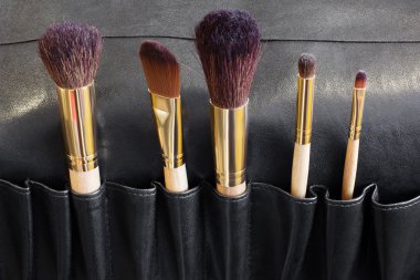 Siyah bir kapak makyaj fırçaları