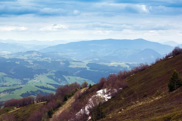 Mountains with trees and melting snow — Stock Photo, Image