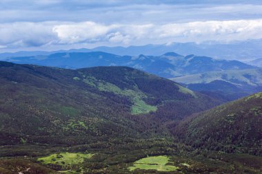 Yeşil çimenli vadisi olan Karpatlar 'dan oluşan manzara