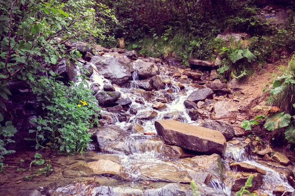 River Flows Stones Falling Cascade — Stock Photo, Image