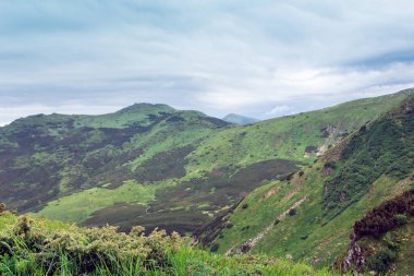 Yeşil çimenli bir Karpatlar dağından oluşan manzara