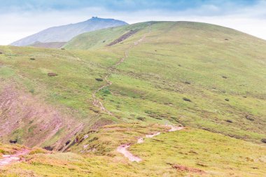 Yeşil çimenli bir Karpatlar dağından oluşan manzara