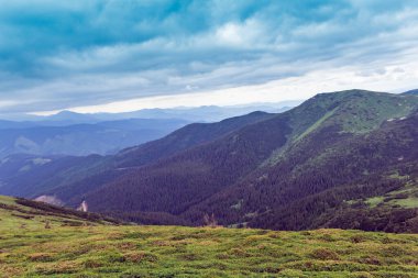 Yeşil çimenli vadisi olan Karpatlar 'dan oluşan manzara