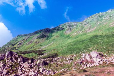 Taşlı bir Karpatlar dağından oluşan bir manzara.
