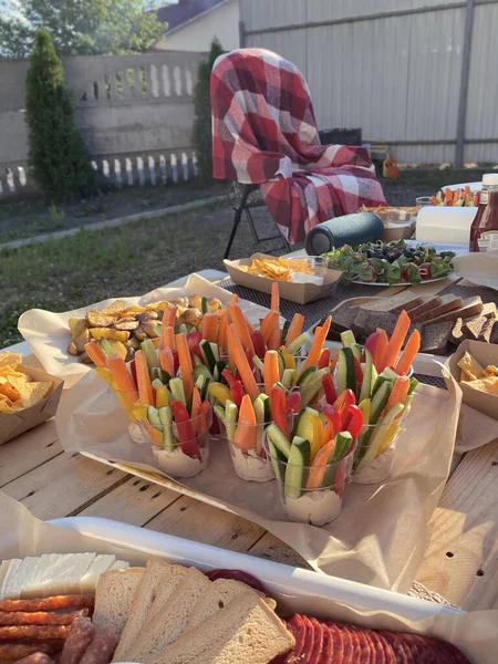 Summer Picnic Vegetables Backyard — Stock Photo, Image