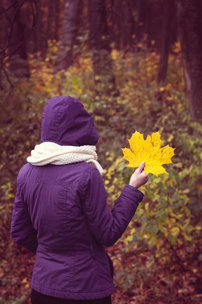 Girl Holding Autumn Yellow Leaf — Stock Photo, Image