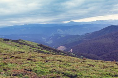 Yeşil çimenli vadisi olan Karpatlar 'dan oluşan manzara
