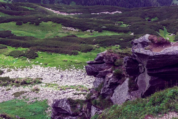 Landschaft Bestehend Aus Karpaten Felsigen Bergen — Stockfoto