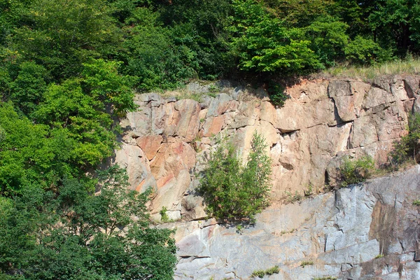 Steinmauer und grüne Bäume ringsum — Stockfoto