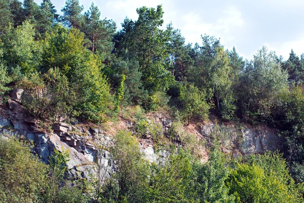 Mountain and green trees around — Stock Photo, Image