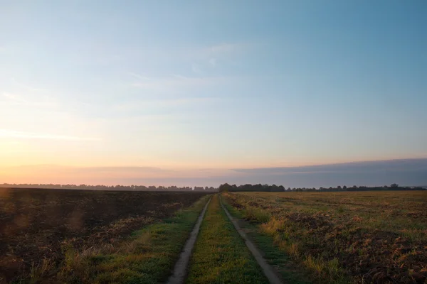 Field with a footpath at sunset — Stock Photo, Image