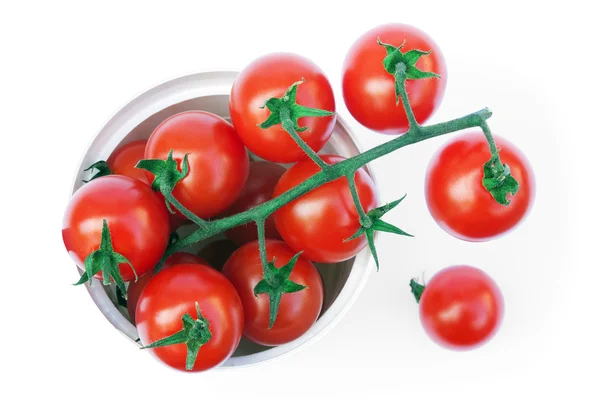 Bell tomatoes on the vine in the plastic cup — Stock Photo, Image