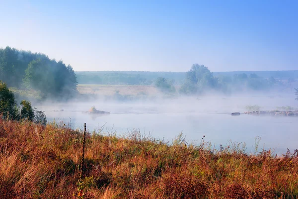 Landscape of the valley, the river with dense fog, the trees, an — Stock Photo, Image