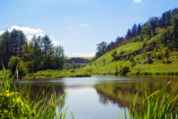 Landskap med en flod, gröna gräsbevuxna kullar med träd — Stockfoto