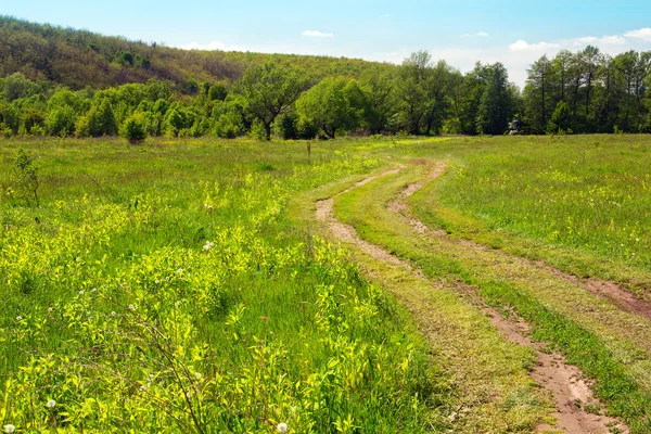 Landschap van een met gras begroeide vallei met voetpad, heuvels met bomen — Stockfoto