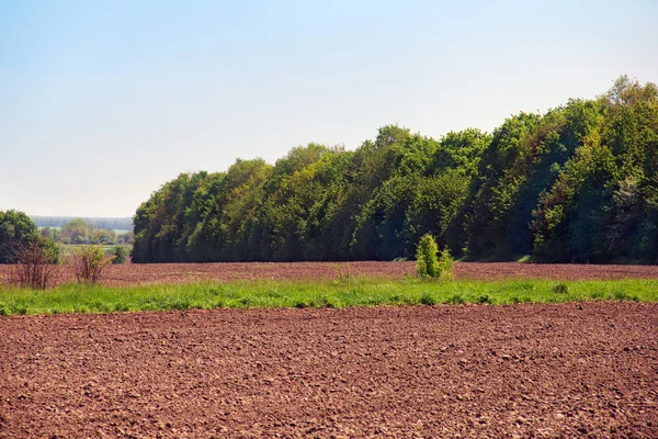 Plowed land with a strip of green grass and trees — Stock Photo, Image