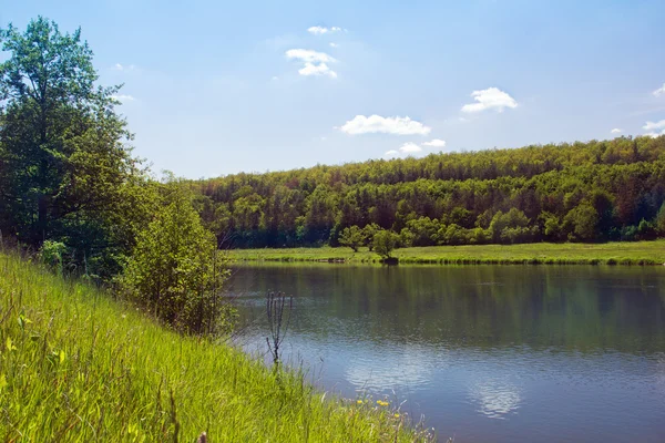 landscape of a river, grassy hills and valley with trees