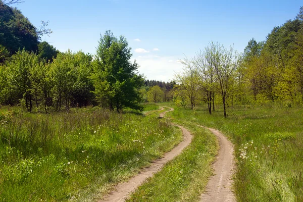 Paisaje de un valle herboso con sendero bifurcado, bosque y sk — Foto de Stock