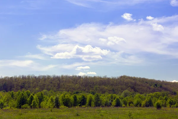 Landschaft eines grasbewachsenen Tals, grüner Wald auf Hügeln und bewölkt — Stockfoto