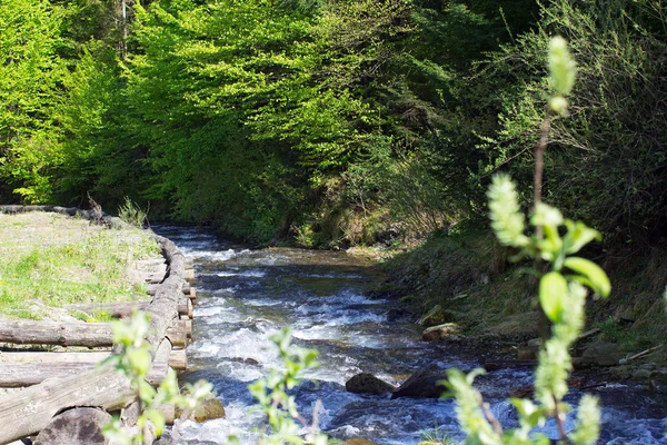 Stormy river among the green forest — Stock Photo, Image