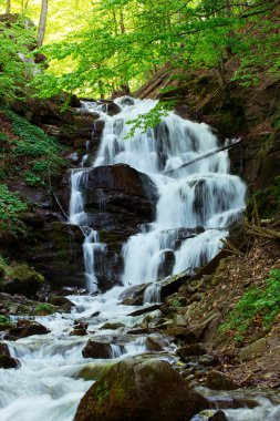 Şelale Shypit Karpat Dağları'nda